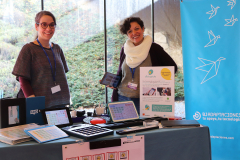 TrasTEA 2018: BJ Adaptaciones