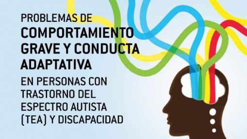 Inauguración del Seminario ‘Problemas Comportamiento Grave y Conducta Adaptativa con TEA y Discapacidad’ en Castellón