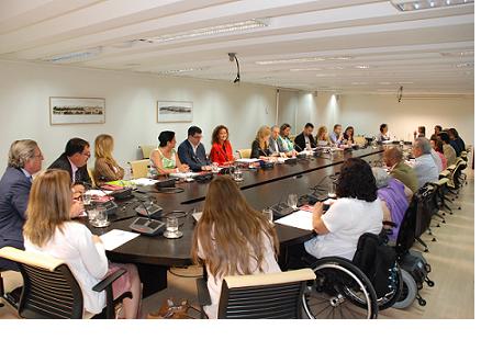 CERMI Madrid apoya una declaración institucional para impulsar la candidatura de Madrid a los Juegos Olímpicos y Paralímpicos de 2020