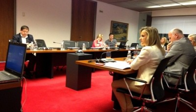 En el Parlamento de Navarra se habla por primera vez de Autismo