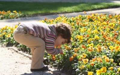 Jornadas sobre Alteraciones de la Percepción Sensorial en los TEA
