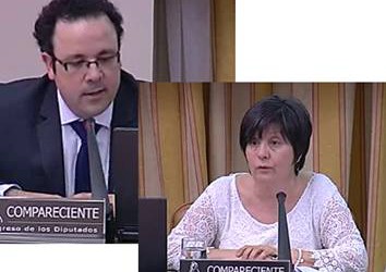 Autismo España reclama ante el Congreso de los Diputados un Plan Nacional de Autismo