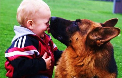 Máster Terapia Asistida con Animales