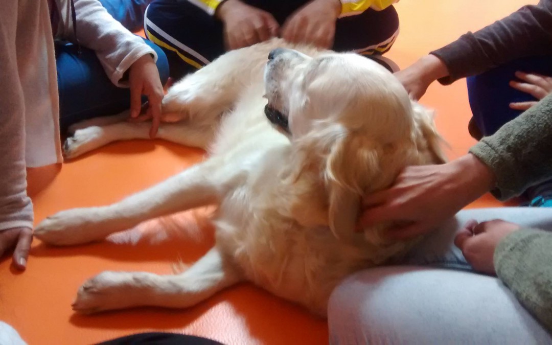 La Asociación Antares comienza la terapia asistida con perros