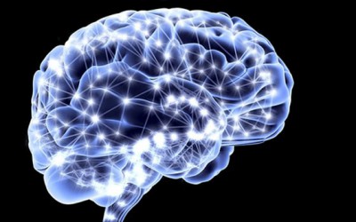 Nuevo estudio asegura que el autismo tiene su causa en el crecimiento excesivo de nuevas conexiones cerebrales