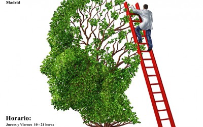 III Mercadillo Solidario de ApanefA