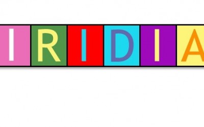 El equipo Iridia ofrece cursos de formación para febrero y marzo