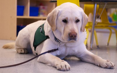 Laura Hijosa, en el diario 20 Minutos