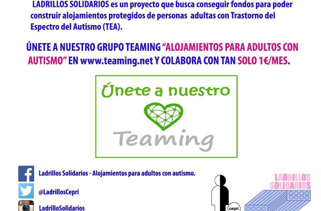 Grupo Teaming Ladrillos Solidarios CEPRI