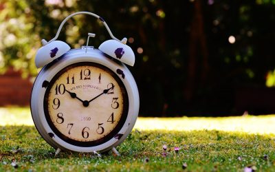 En verano, modificamos nuestro horario de atención al público