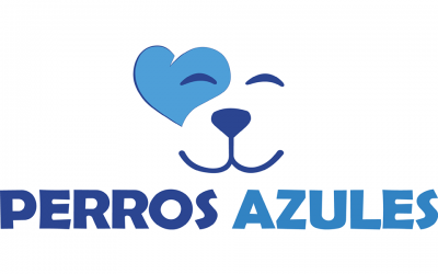 El Hospital Gregorio Marañón va a introducir perros de terapia para tratar  a niños con Autismo, entre otros