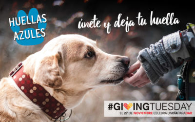Autismo Madrid se suma al #GivingTuesday!
