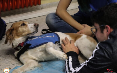 ¿Por qué los perros son tan especiales para las personas con TEA?