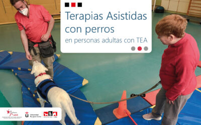 Autismo Madrid y la URJC presentan un proyecto de Terapias Asistidas con perros en personas adultas con TEA