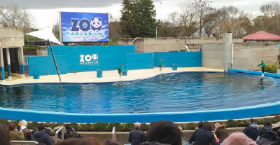 El colegio CEE CEPRI visita el Zoo Aquarium de Madrid