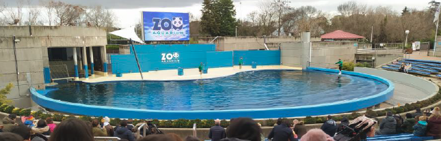 El colegio CEE CEPRI visita el Zoo Aquarium de Madrid
