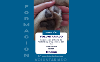 Nueva formación de voluntariado en la Asociación DogPoint