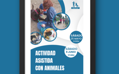 Actividad asistida con animales con la Asociación DogPoint