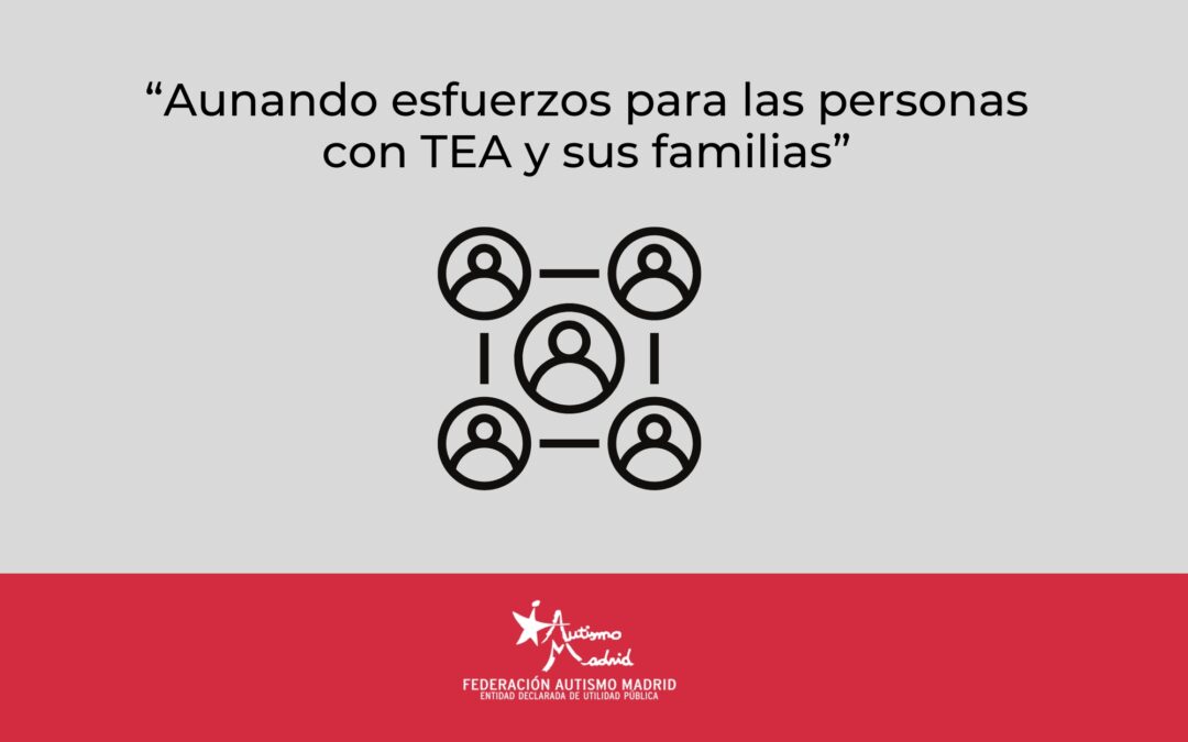 Federación Autismo Madrid da la bienvenida a la Asociación Pauta, ConecTEA, Fundación Erik Lövaas y Empower Parents como nuevas entidades socias