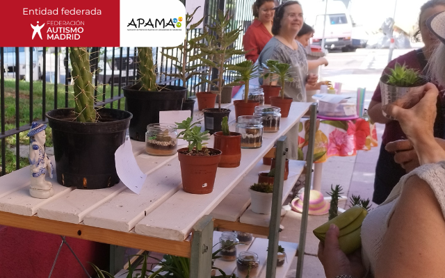 APAMA celebra un mercadillo solidario de primavera