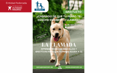 La Asociación DogPoint presenta un webinar sobre técnicas para mejorar la comunicación con el perro