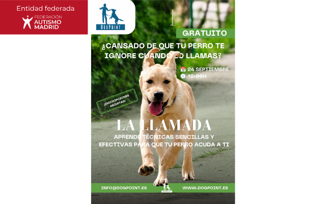Dog point webinar